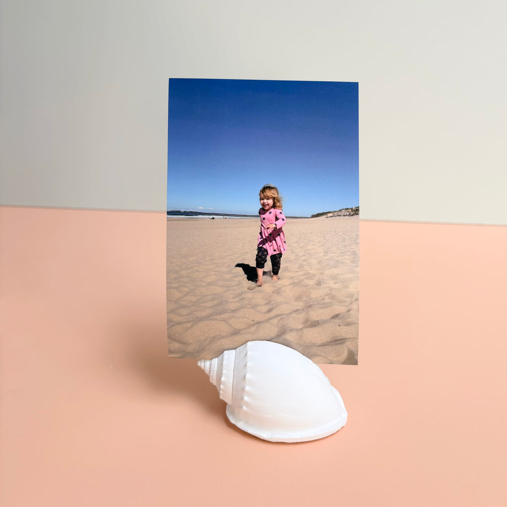 eco resin sea shell photo display