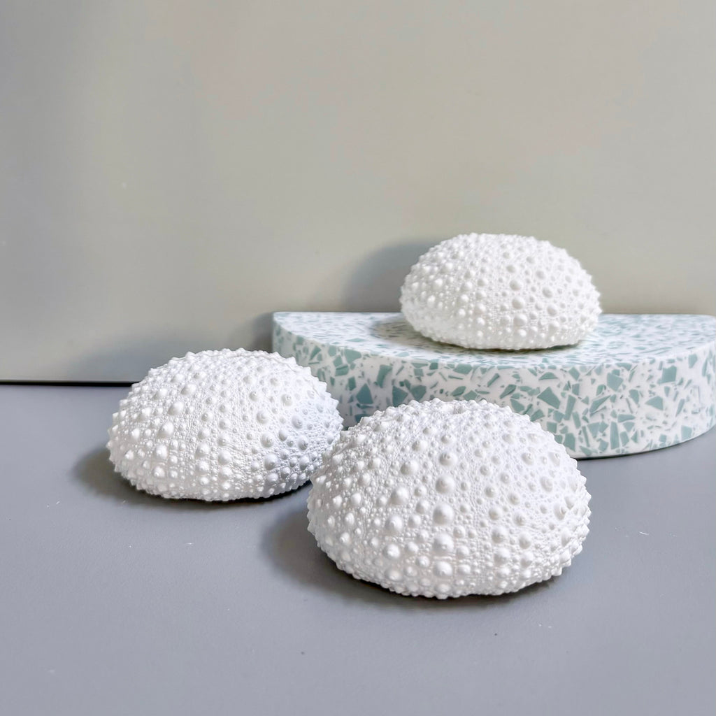 Sea Urchin Card & Photo Holder — Eco Resin | Coastal Wedding Decor