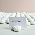 Sea Urchin Name Card & Photo Holder – Eco Resin