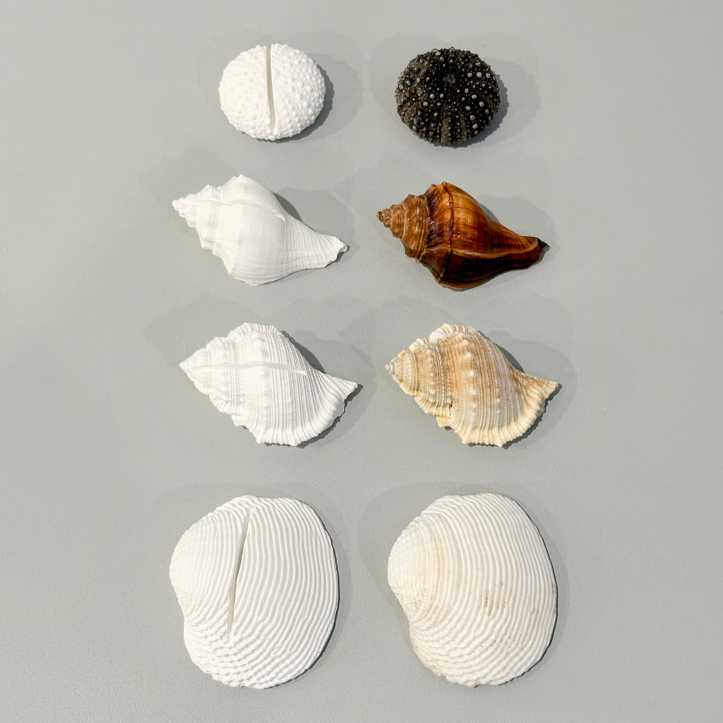 eco resin place card holders/photo holders