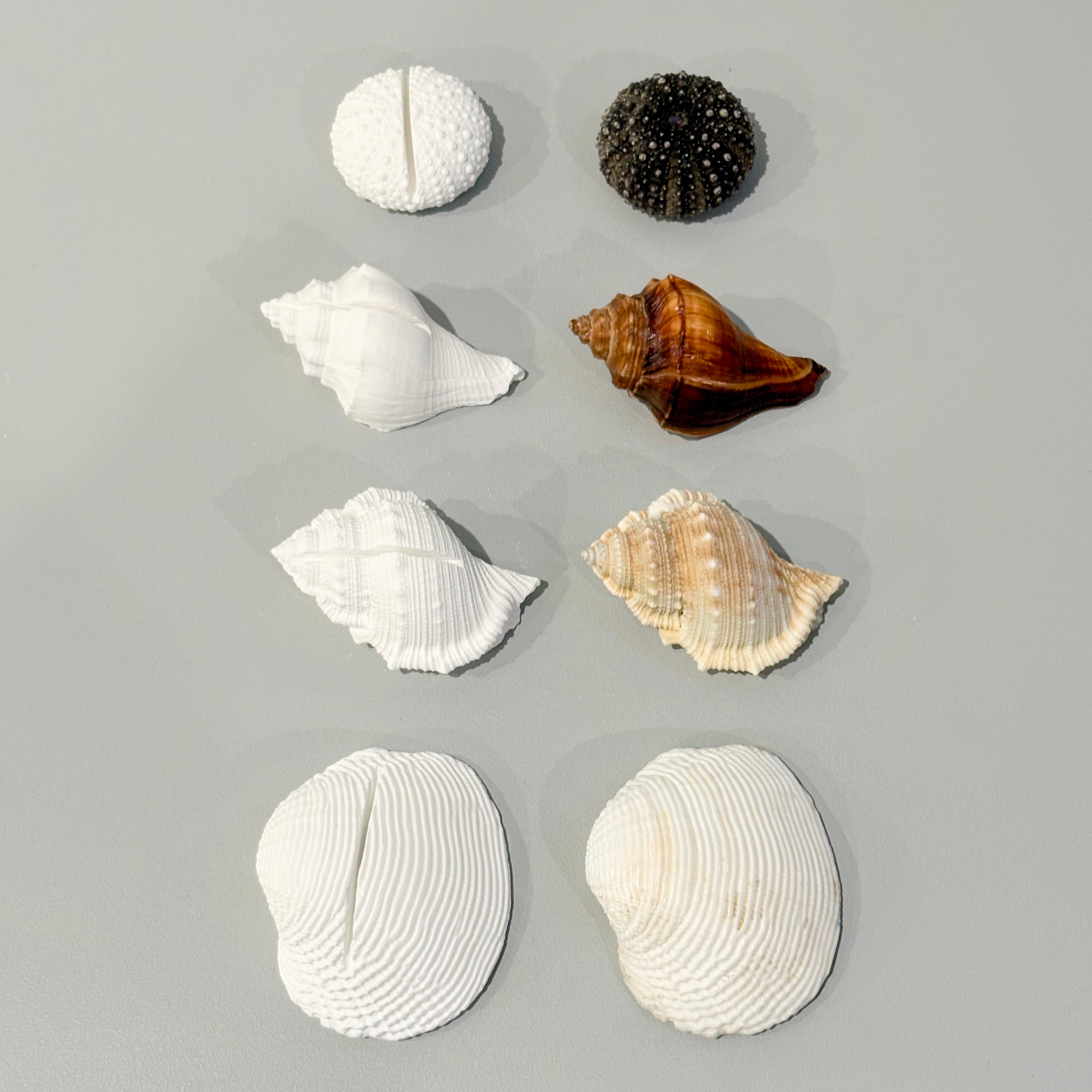 eco resin place card holders/photo holders