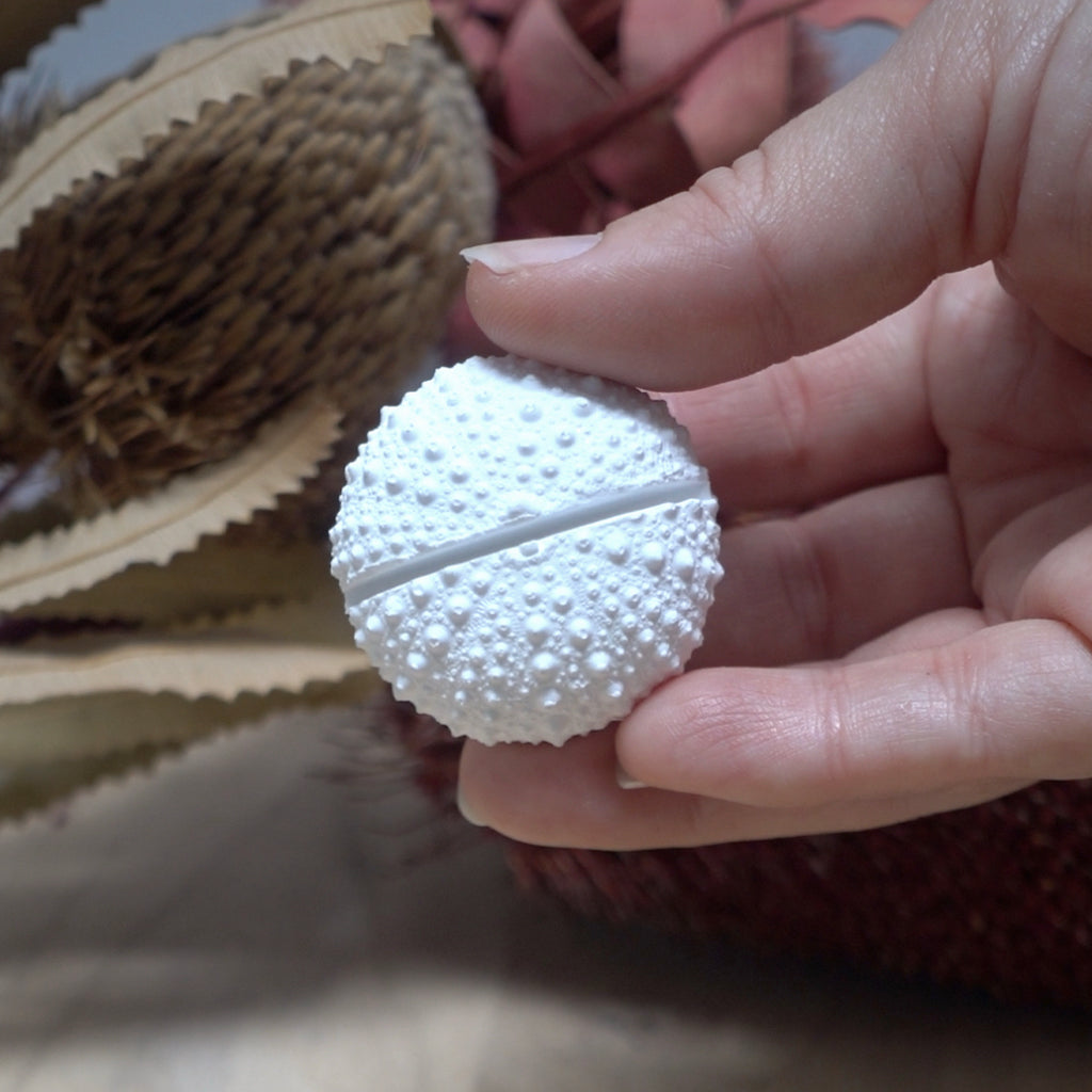 Sea Urchin Name Card & Photo Holder – Eco Resin