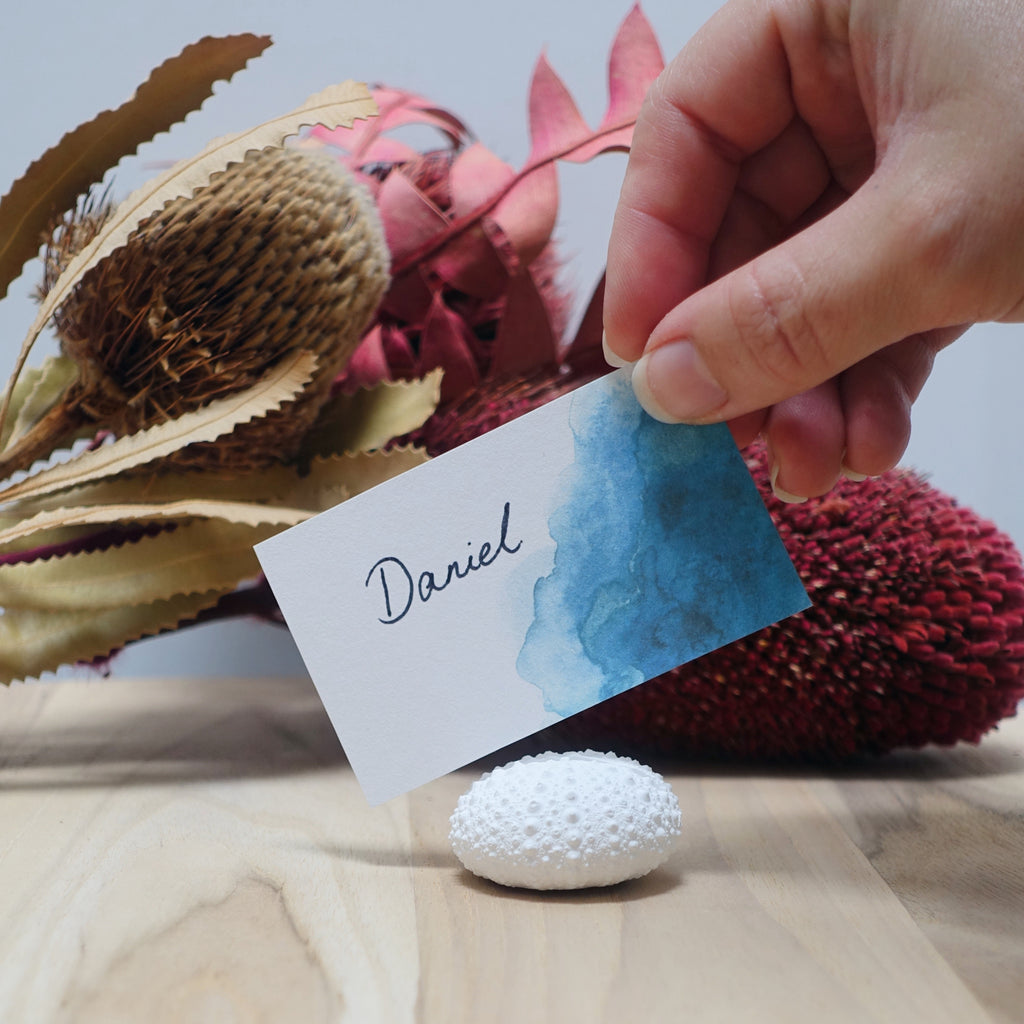 Sea Urchin Name Card & Photo Holder – Eco Resin