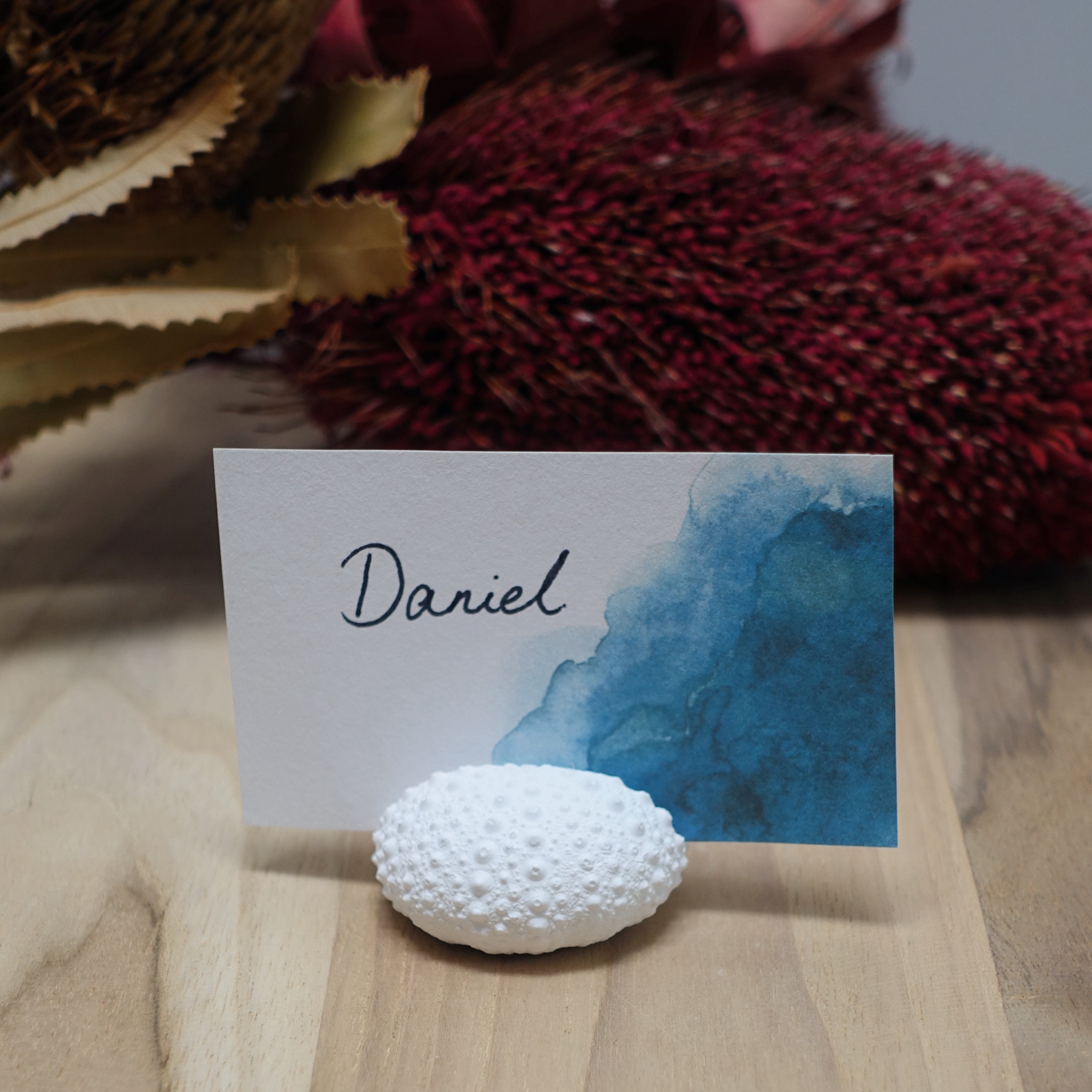 Sea Urchin Name Card & Photo Holder – Eco Resin