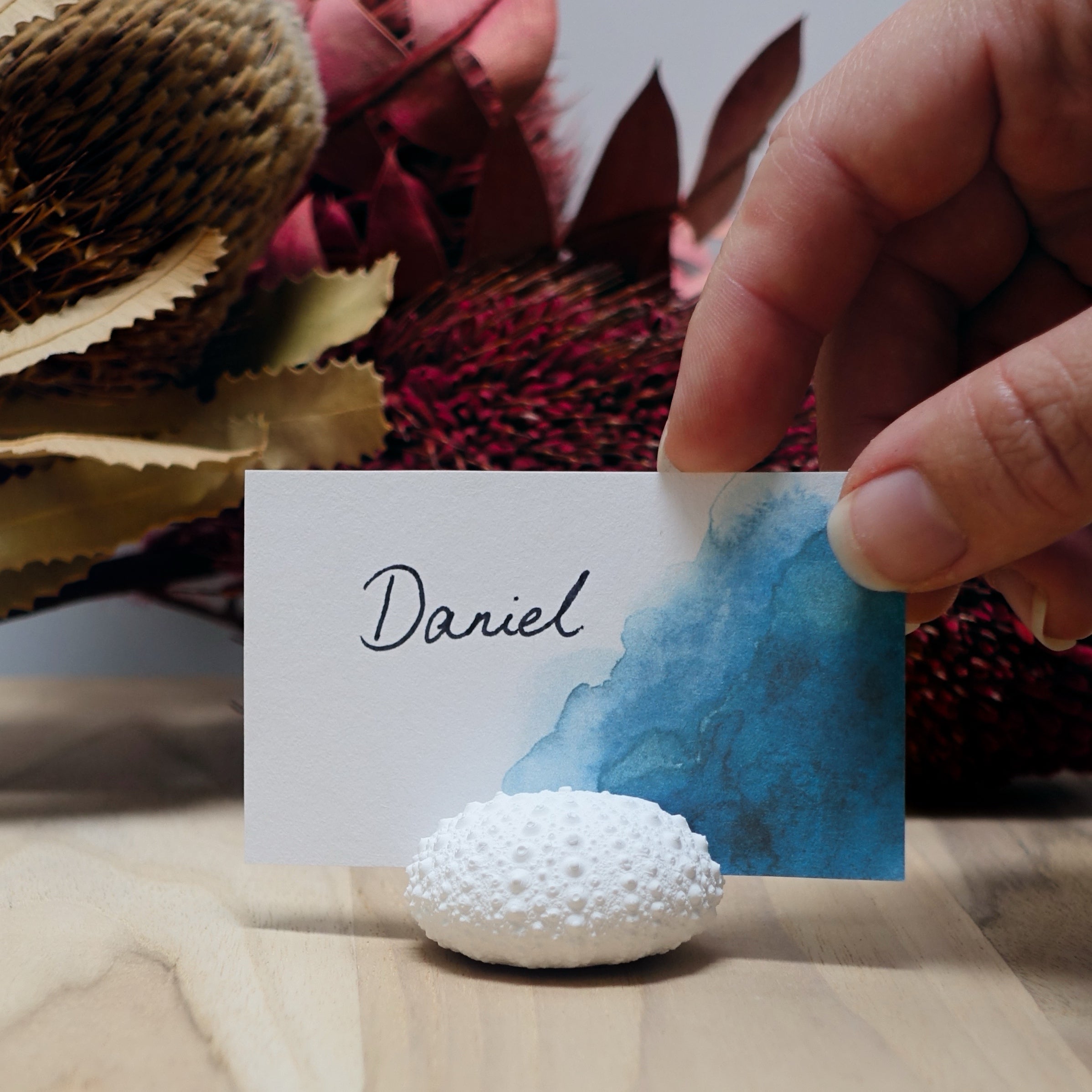 Sea Urchin Name Card & Photo Holder – Eco Resin