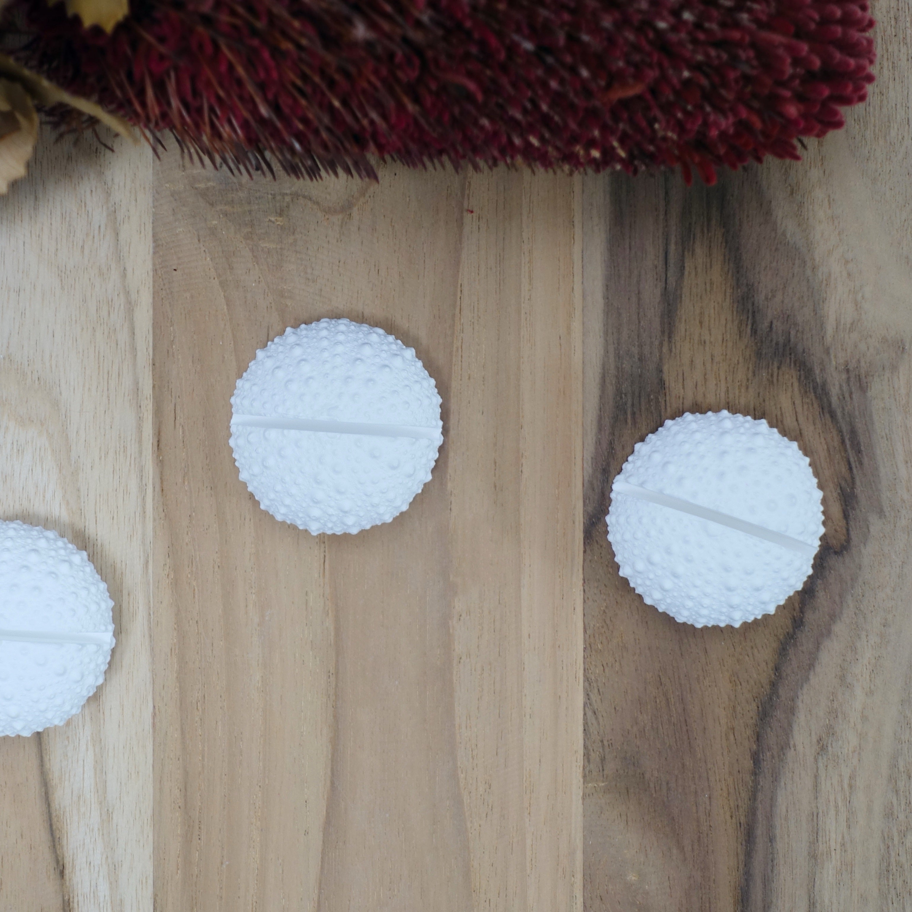 Sea Urchin Name Card & Photo Holder – Eco Resin