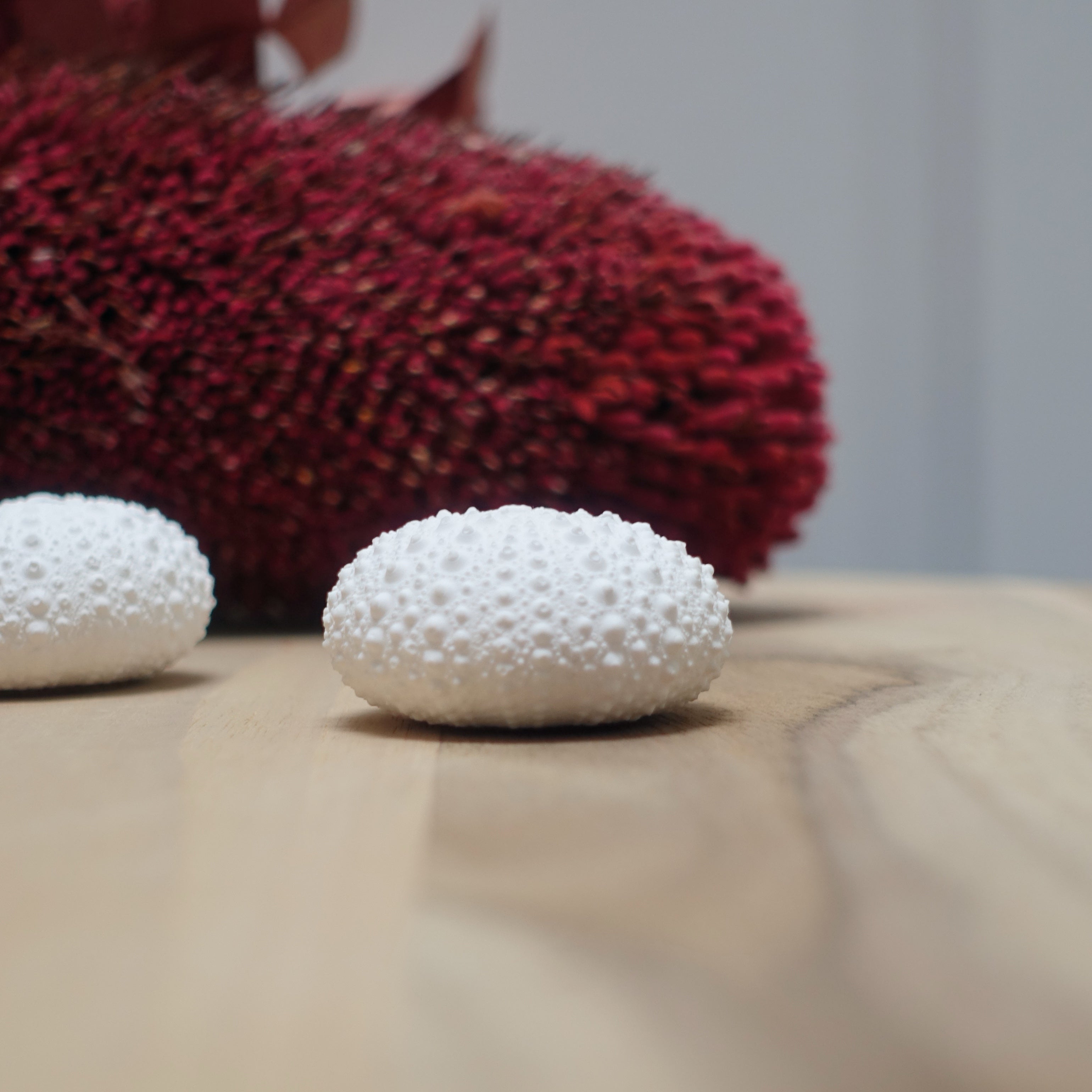 Sea Urchin Name Card & Photo Holder – Eco Resin