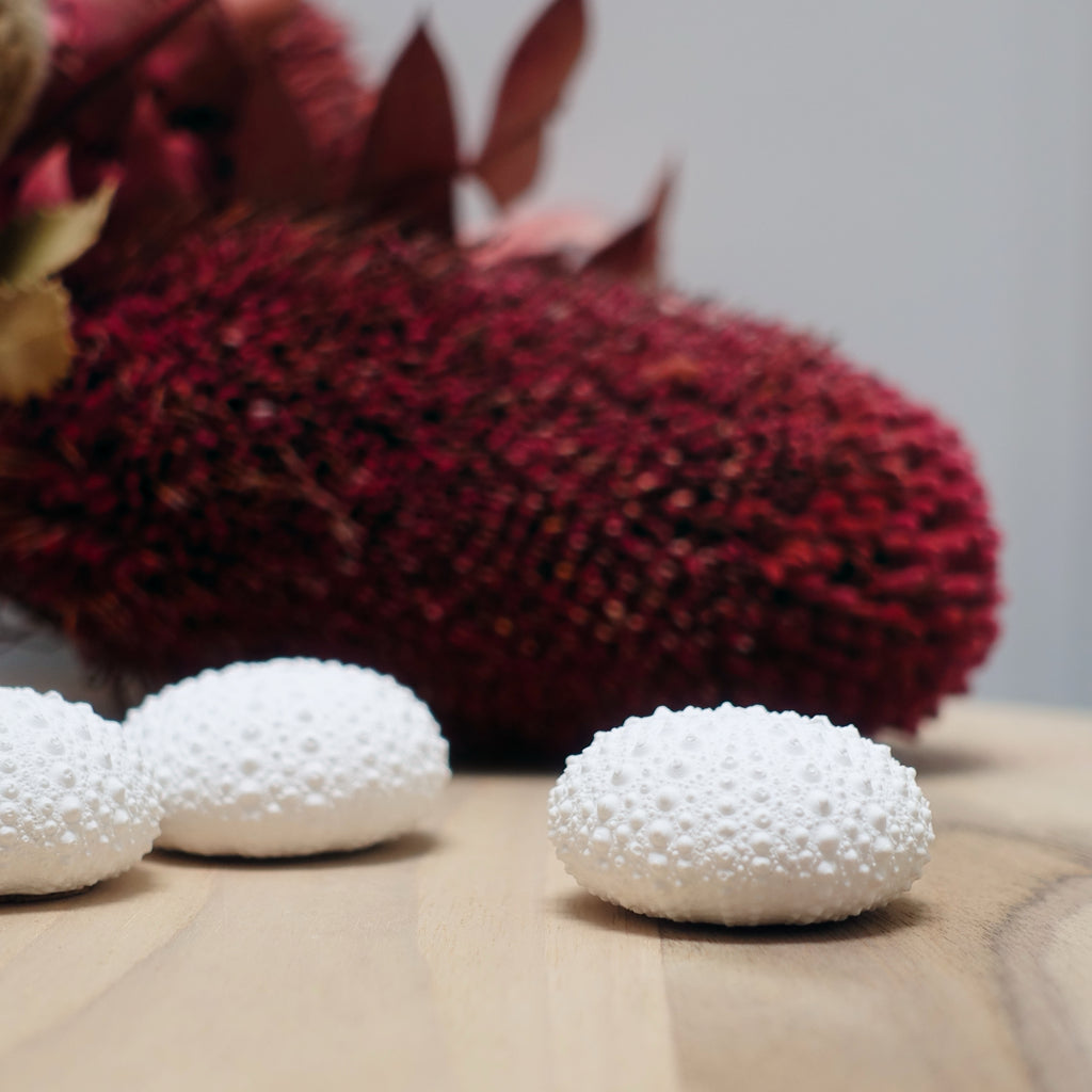 Sea Urchin Name Card & Photo Holder – Eco Resin