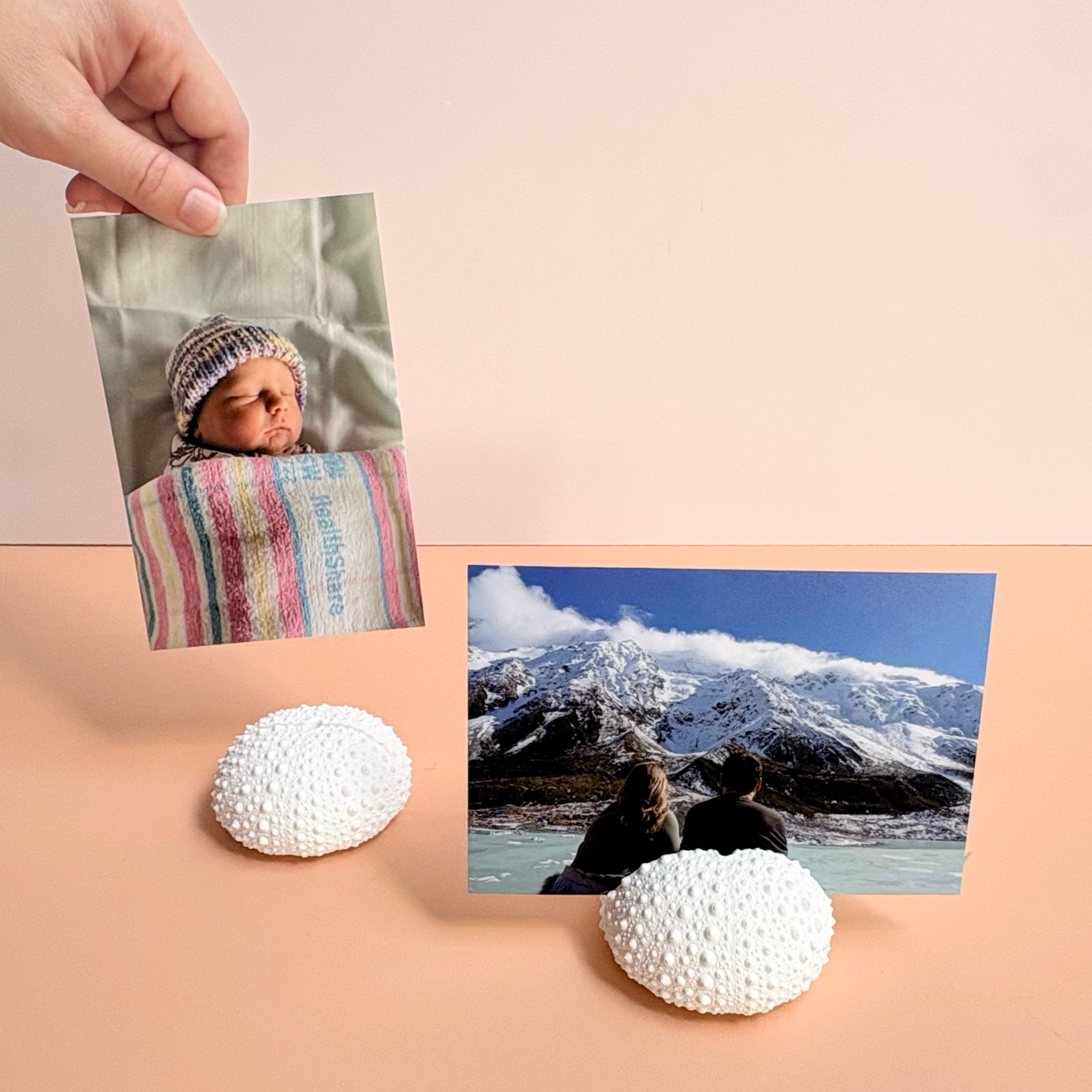 Sea Urchin Card & Photo Holder — Eco Resin | Coastal Wedding Decor