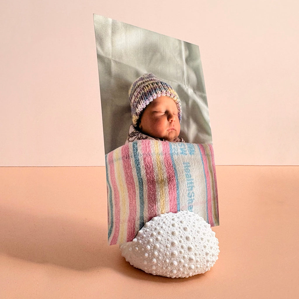 Sea Urchin Card & Photo Holder — Eco Resin | Coastal Wedding Decor