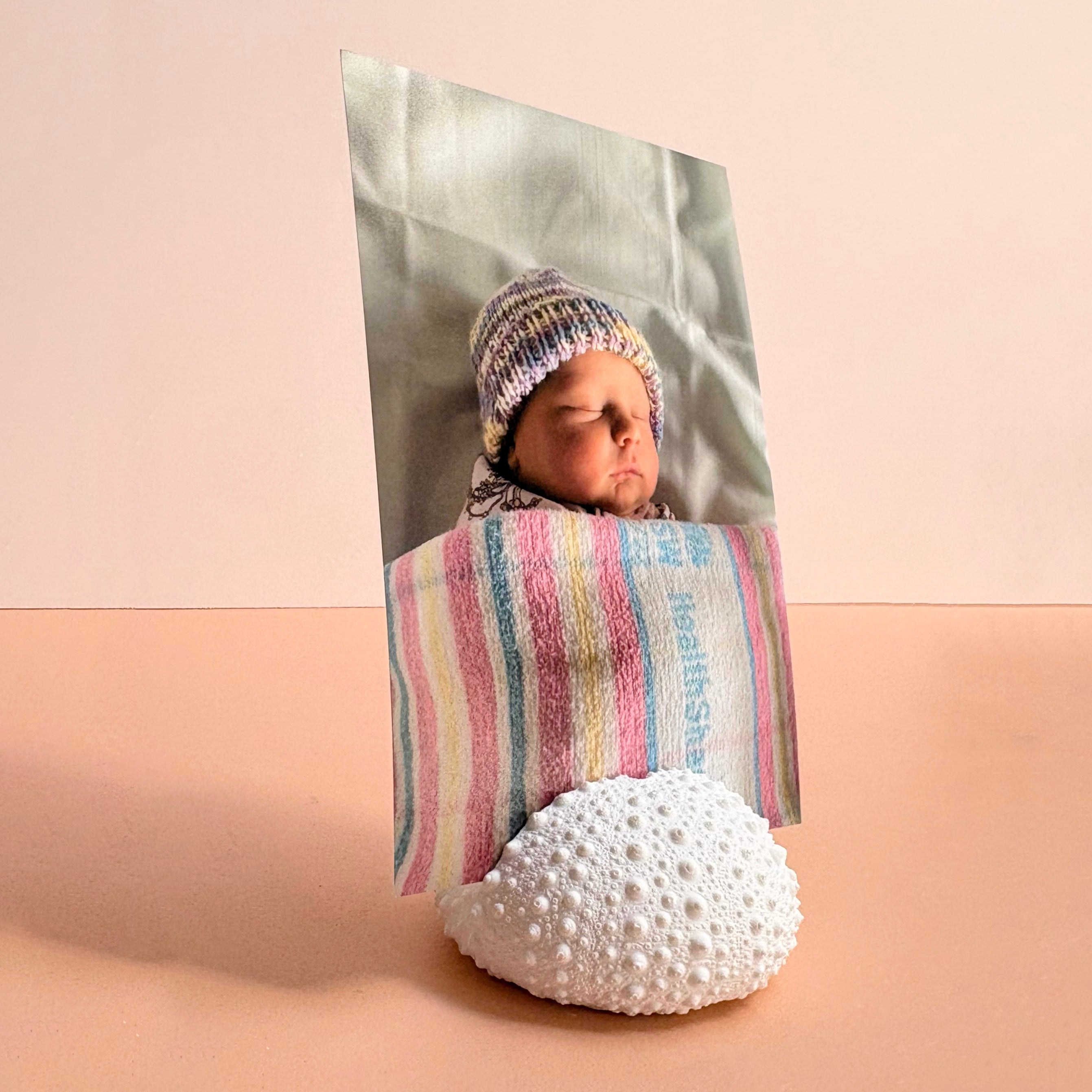 Sea Urchin Card & Photo Holder — Eco Resin | Coastal Wedding Decor
